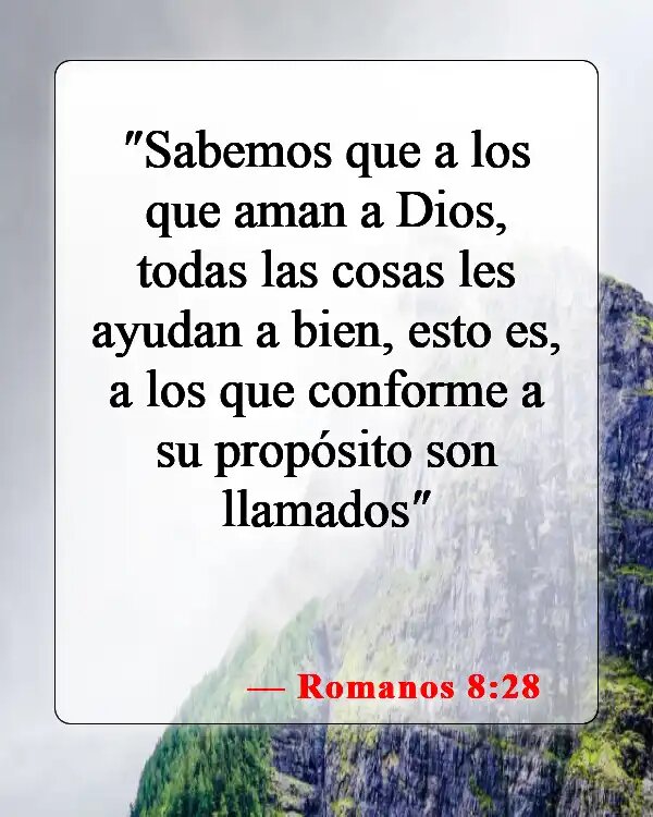 ¿Qué dice la Biblia sobre la palabra "bueno"?