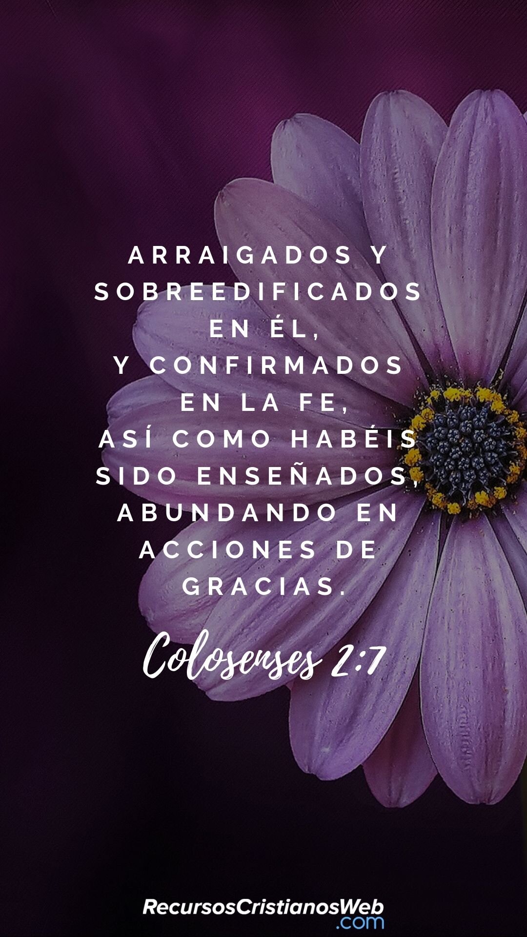 Reflexiones sobre la Gratitud en la Biblia