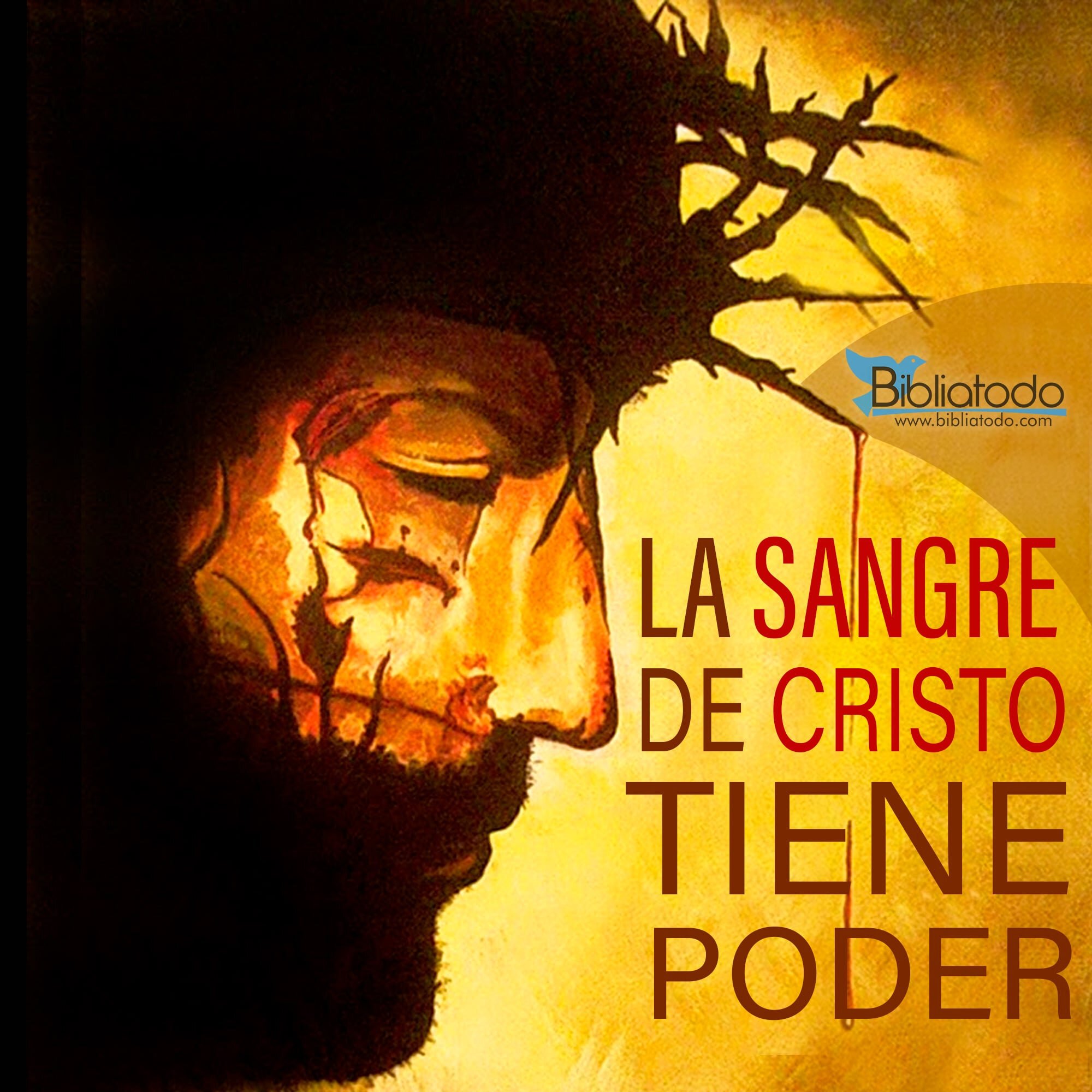Renovación Espiritual: Conexión con la Sangre de Cristo