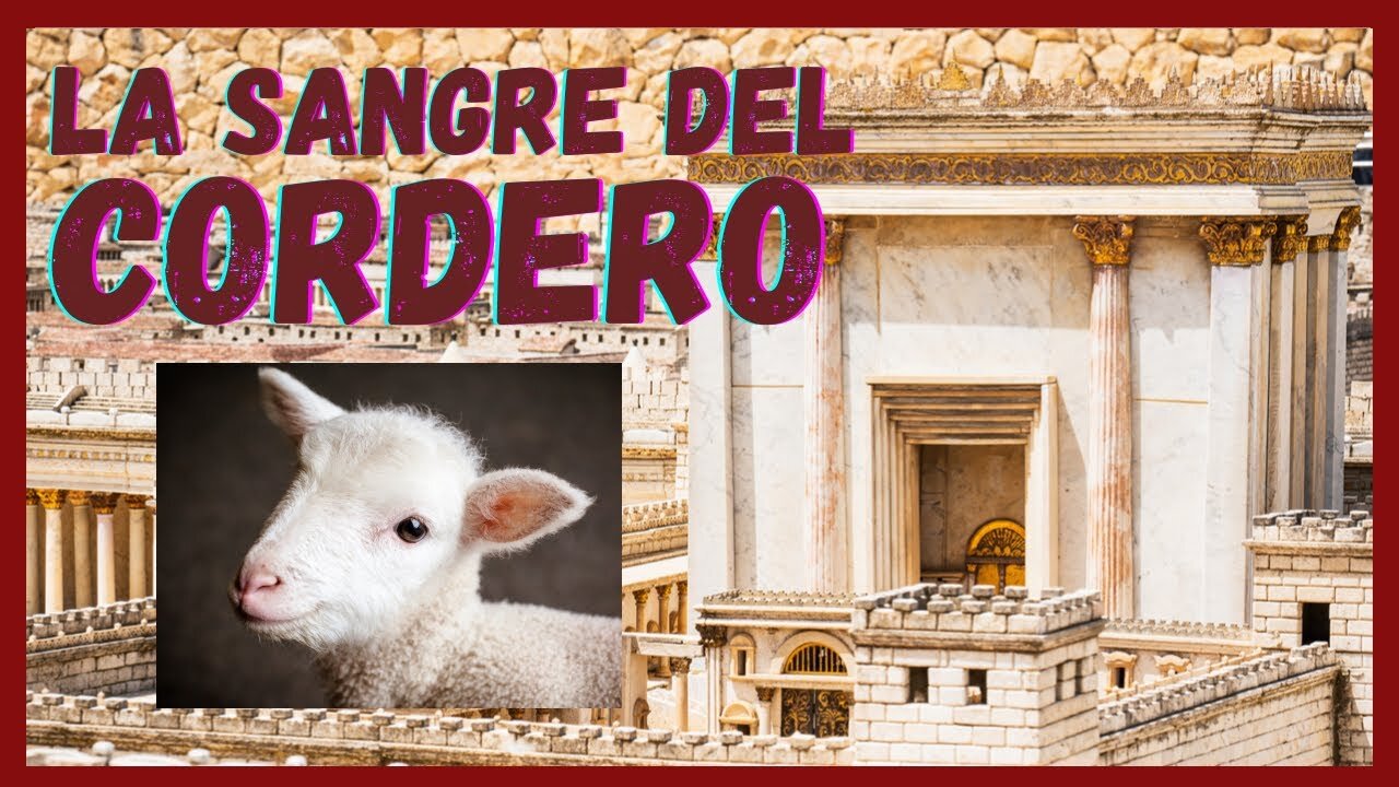 Significado bíblico de la palabra Cordero