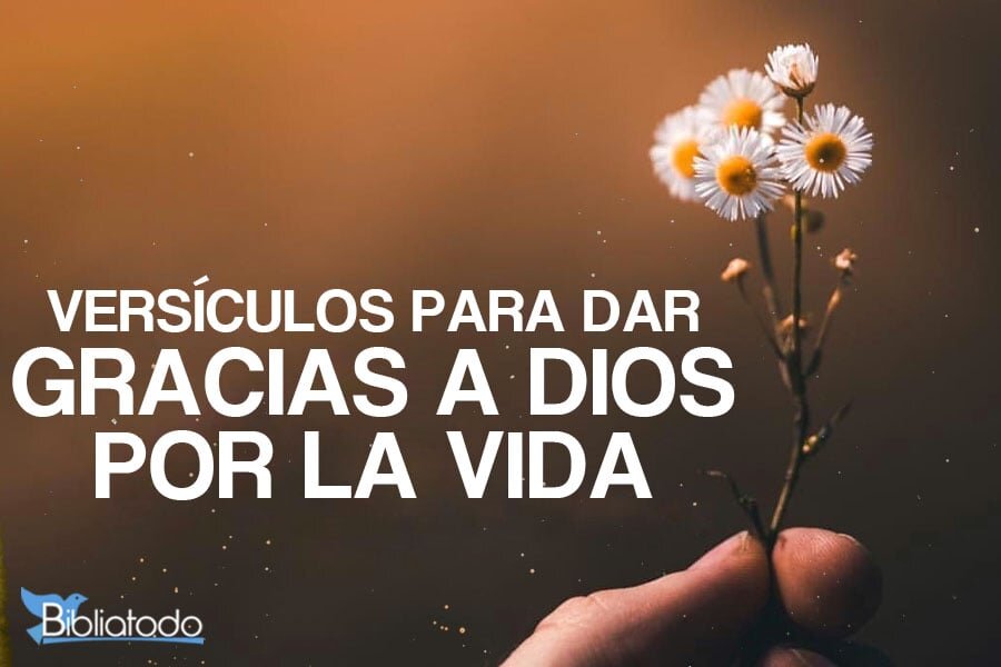 Versículos bíblicos con la palabra "Dar"