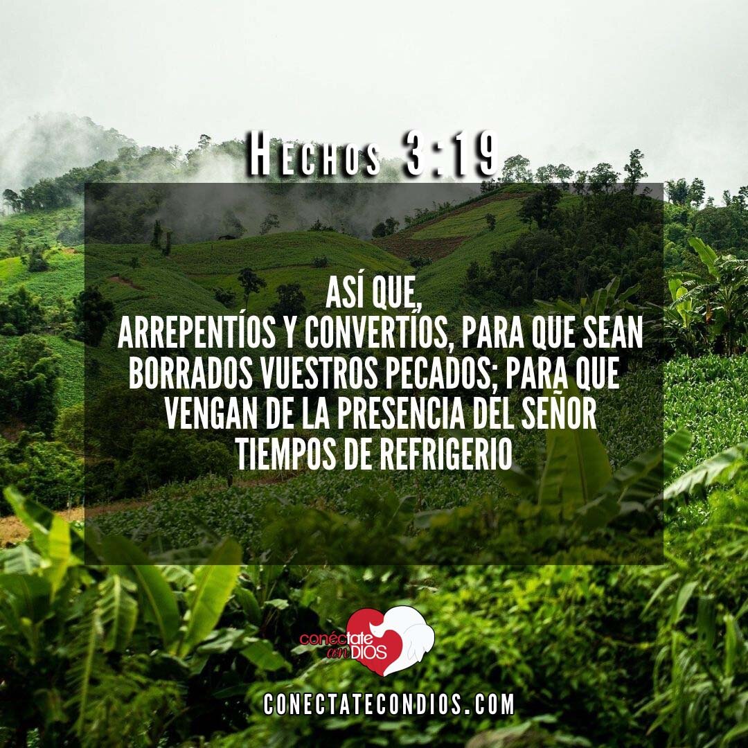 Versículos bíblicos que hablan sobre el arrepentimiento