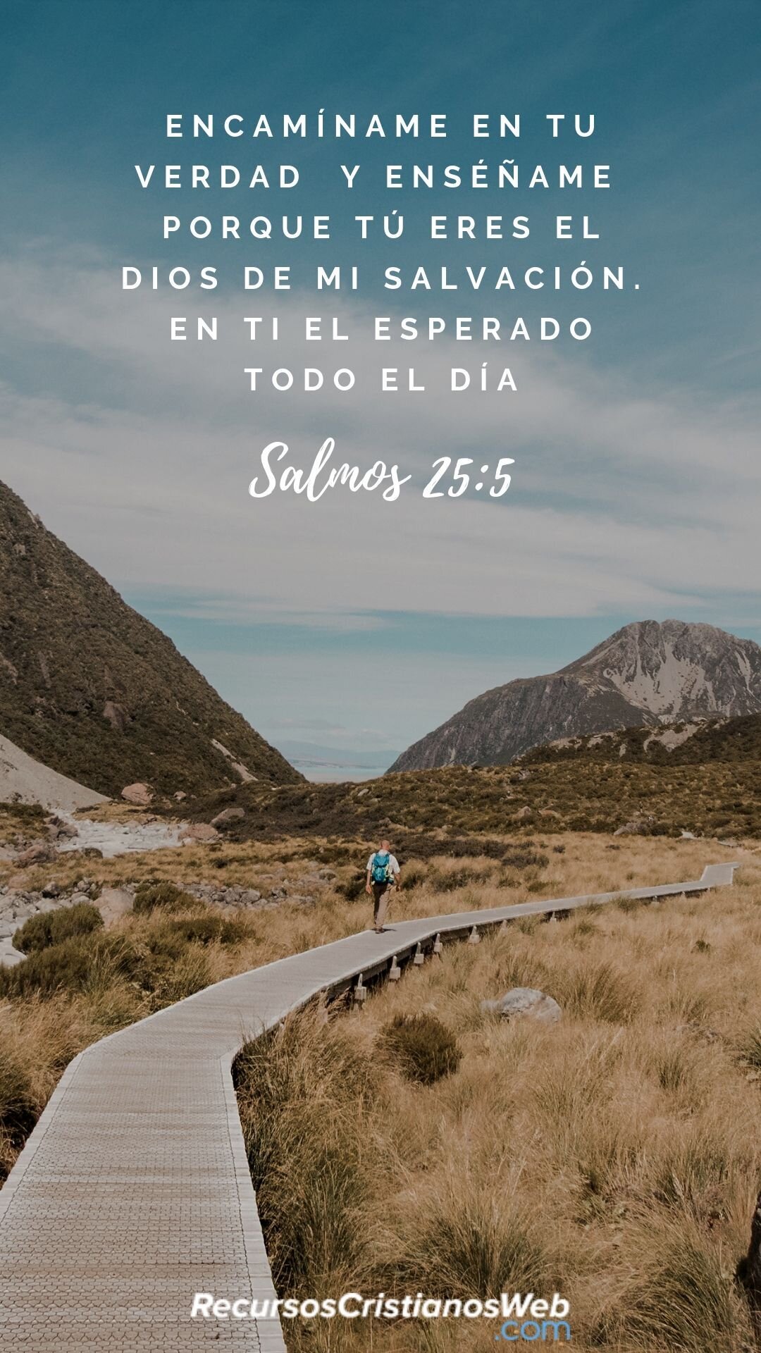 Versículos bíblicos que hablan sobre la esperanza