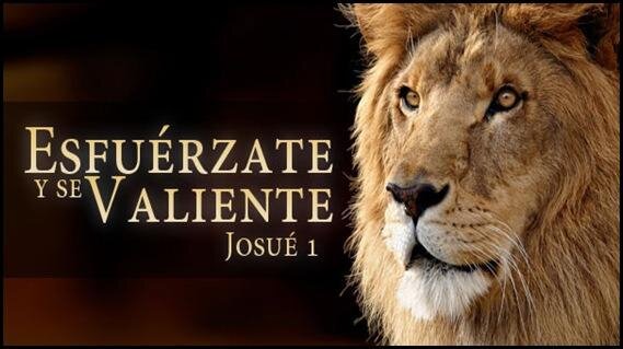 Actuar con Valentía en la Vida Diaria