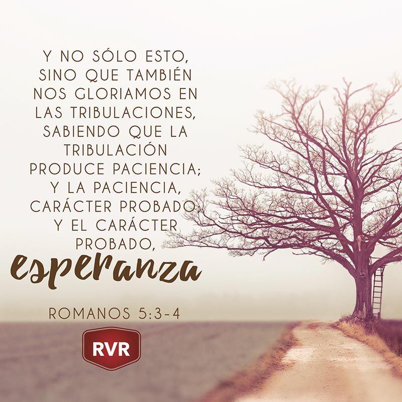 La Paciencia y la Esperanza
